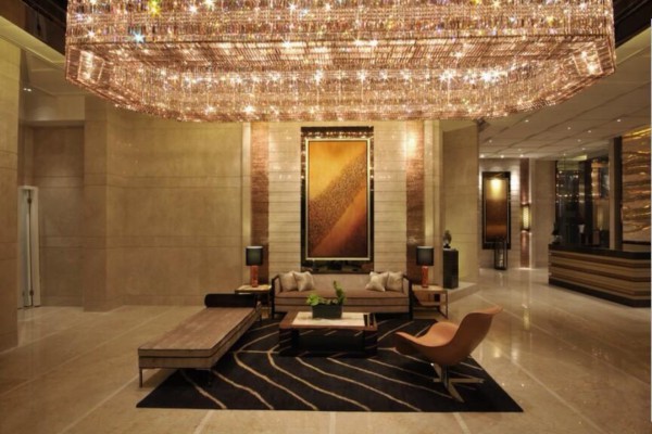 成都锦鲤女孩：喝茶养生新风尚(成都锦鲤介绍)